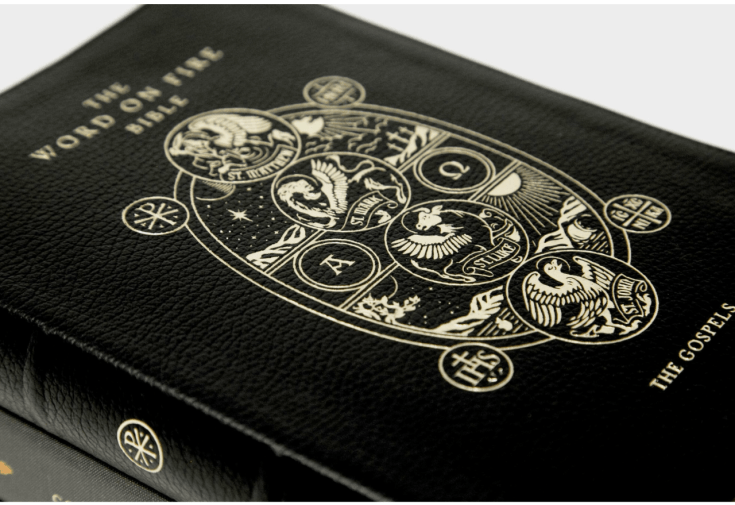 tumblr_7d04aea49924a8bc189872b12e926ab6_1426fbb2_1280