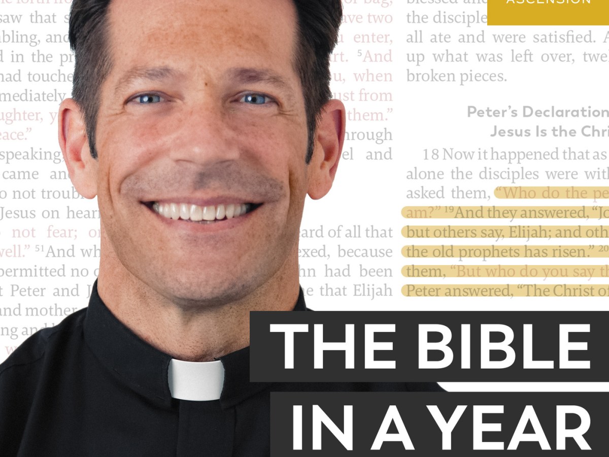 Bible in a Year Podcast with Fr.&nbsp;Mike