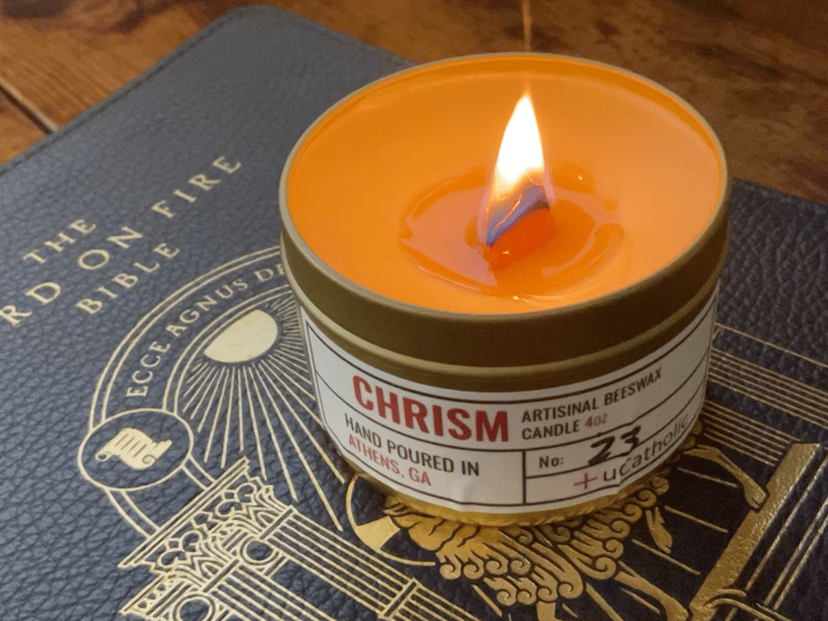 Word on Fire Bible: Vol. II – New&nbsp;Testament