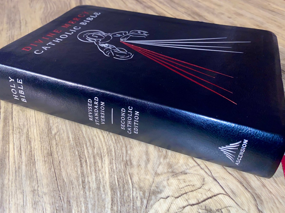 Divine Mercy Catholic&nbsp;Bible