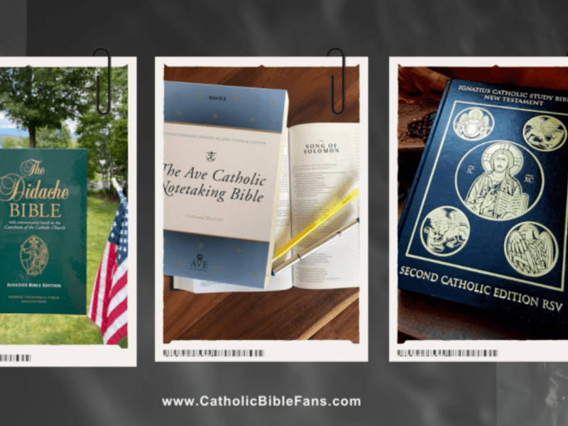 My Three Favorite&nbsp;Bibles